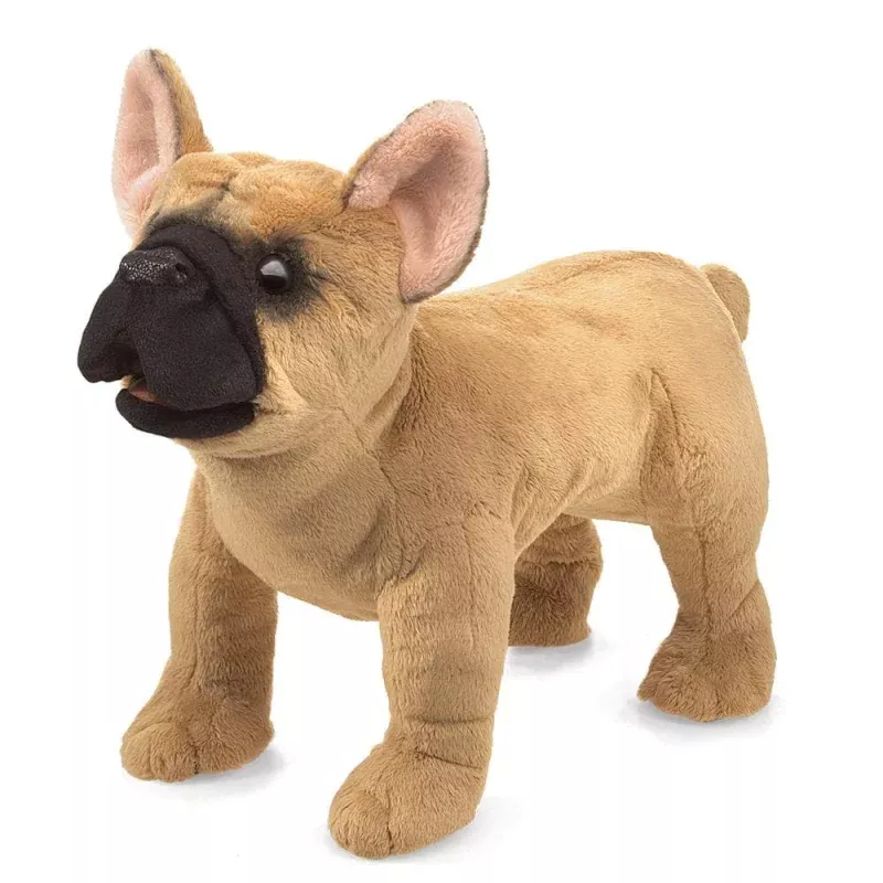 Aurora Eco Nation Pig