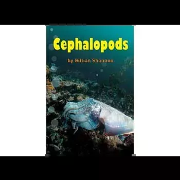 Cephalopods –Level 21-22
