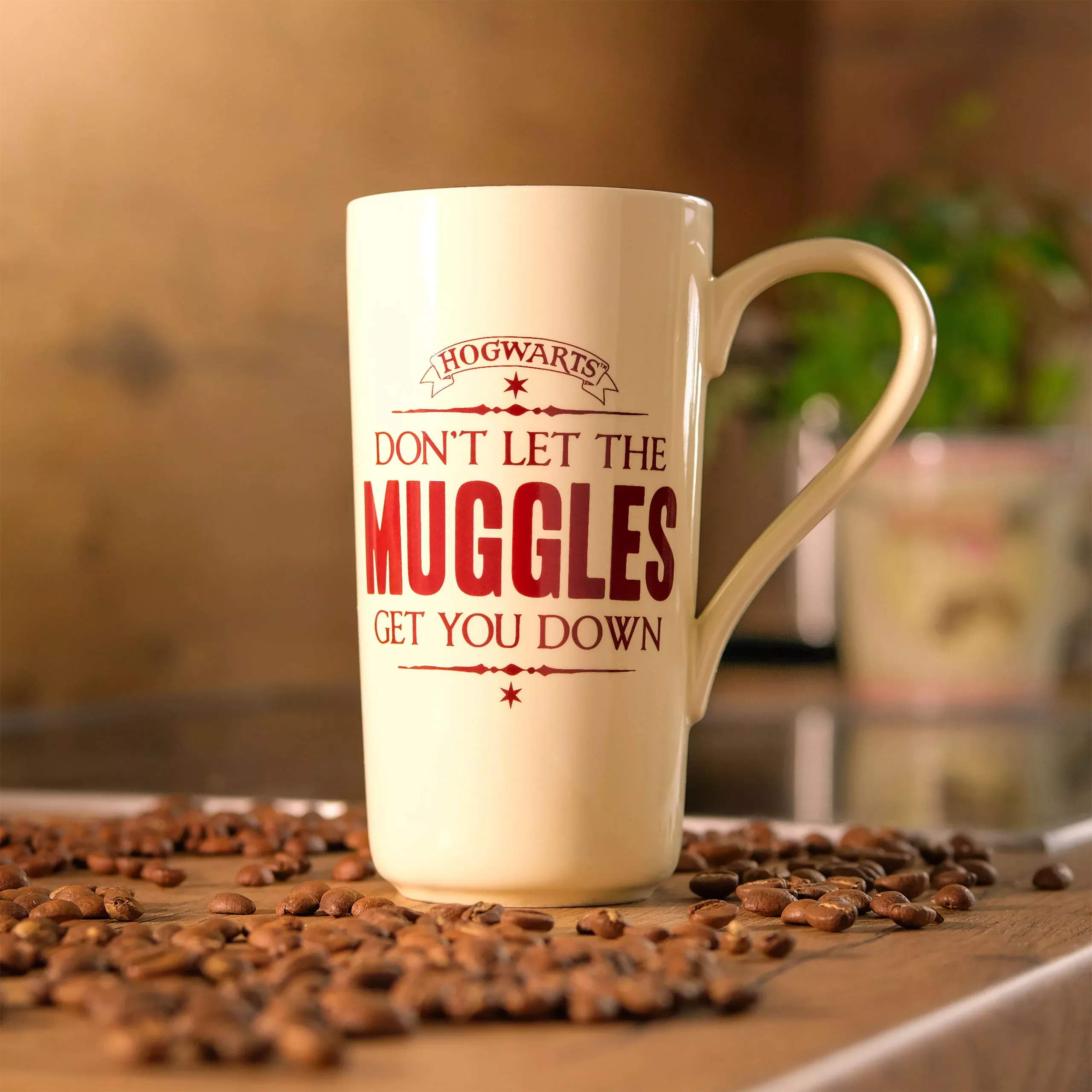 Harry Potter - Muggle Mug XXL