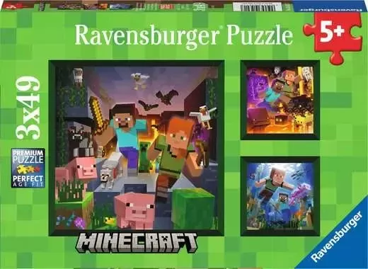 Minecraft Biomes 49px Puzzle