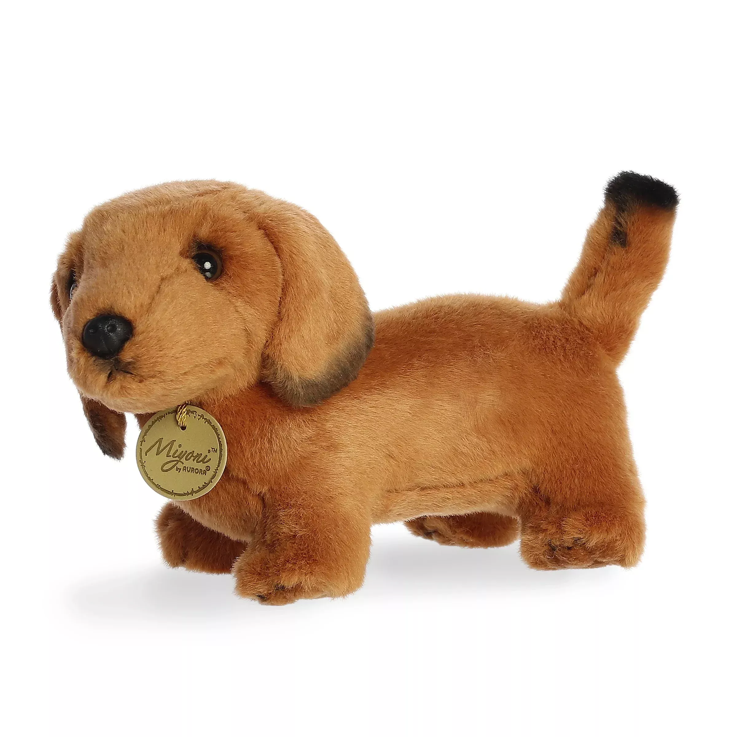 Miyonia 8" Dachshund