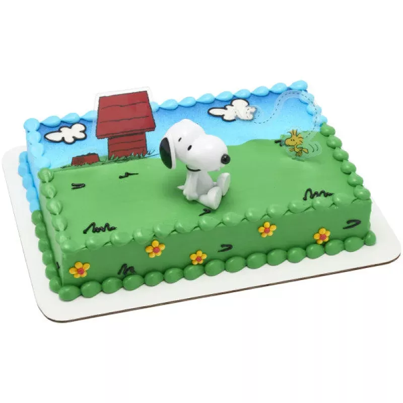 Peanuts Snoopy & Woodstock DecoSet Cake Kit