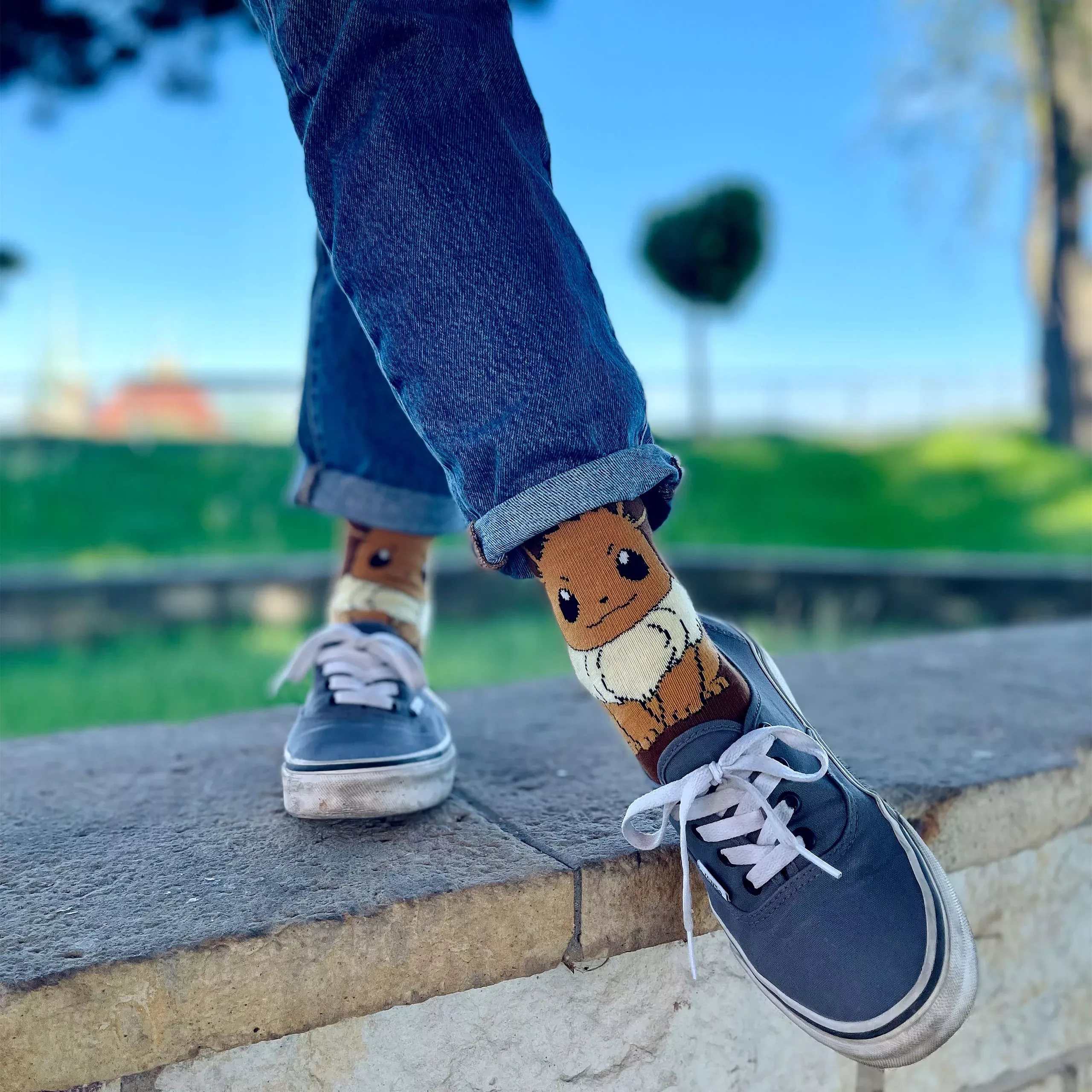 Pokemon - Eevee Socks Brown