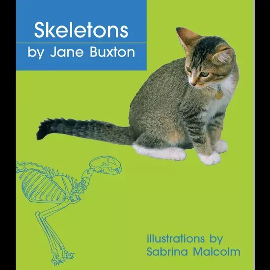 Skeletons- Level 9-11