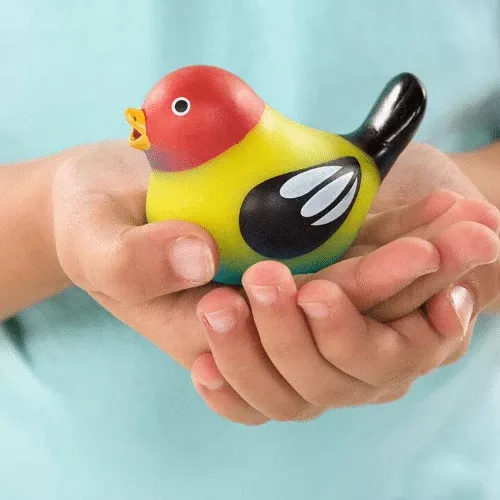 Touch and Tweet Bird